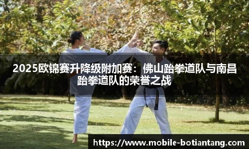 2025欧锦赛升降级附加赛：佛山跆拳道队与南昌跆拳道队的荣誉之战